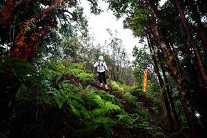 BIB: 
                            <button type="button" onclick="openModal(26204990)" class="btn btn-primary btn-sm float-right btn-popup" data-toggle="modal" data-target=".modal-high-quality">
                        <i class="fas fa-shopping-cart"></i> Add to Cart
                    </button>
                                            <button type="button" onclick="isThisMe(26204990, true)" class="btn btn-success btn-sm float-right btn-popup btn-isme hidden" data-toggle="tooltip" data-placement="bottom" title="นี่คือรูปของคุณใช่ไหม คลิกที่นี่เพื่อเอาเข้าอัลบั้ม">
                        <i class="fas fa-plus"></i> Add to album
                    </button>
                    <button type="button" onclick="isThisMe(26204990, false)" class="btn btn-warning btn-sm float-right btn-popup btn-isnotme hidden">
                        <i class="fas fa-ban"></i> Remove from album
                    </button>